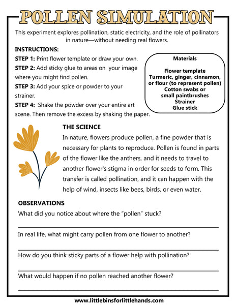 Flower STEAM Unit for Kids (K–4) | 7-Day Spring Science & Art Lesson Plan