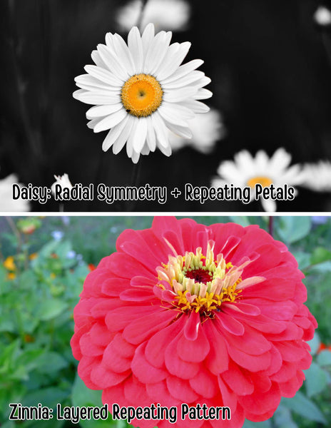 Flower STEAM Unit for Kids (K–4) | 7-Day Spring Science & Art Lesson Plan