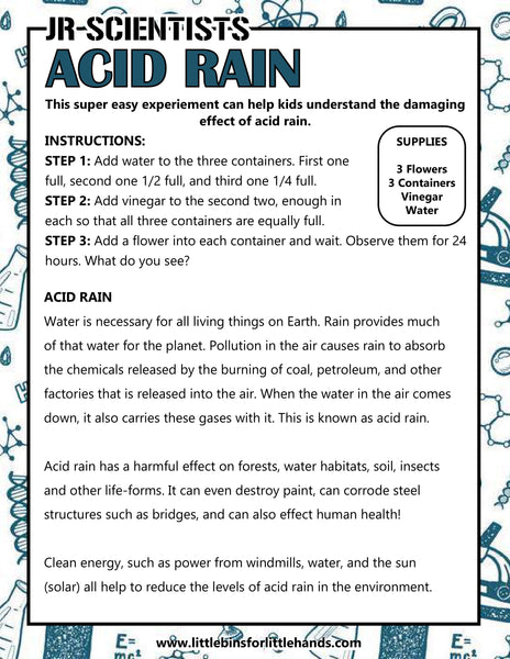 Flower STEAM Unit for Kids (K–4) | 7-Day Spring Science & Art Lesson Plan