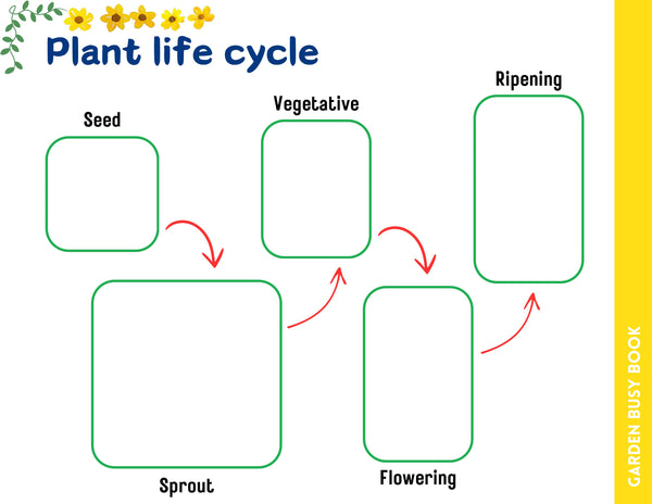 Preschool Garden Busy Book (First STEM)