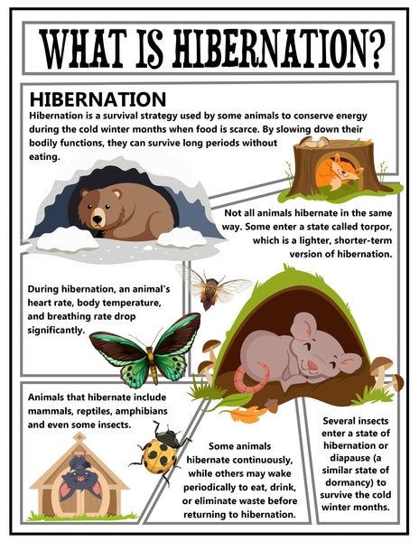 Animal Hibernation Project Pack