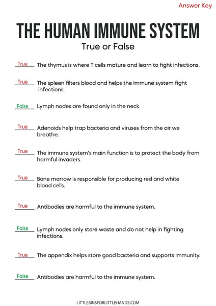 Human Anatomy Activities and Printable Pack for Kids
