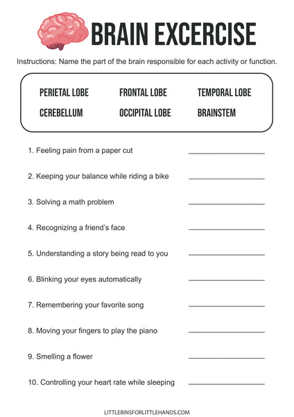 Human Anatomy Activities and Printable Pack for Kids