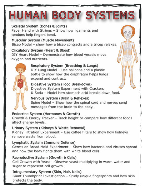 Human Anatomy Activities and Printable Pack for Kids