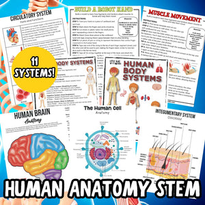 Human Anatomy Activities and Printable Pack for Kids