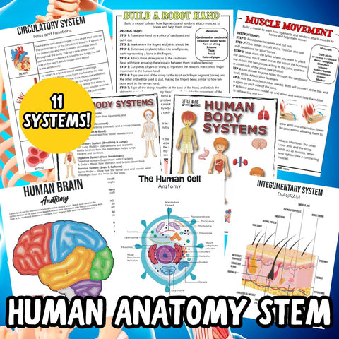 Human Anatomy Activities and Printable Pack for Kids