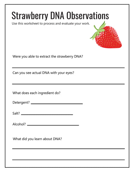 Kitchen Chemistry STEM Labs for Kids
