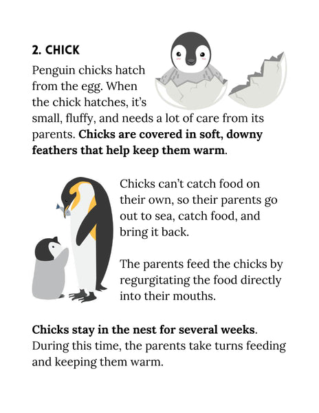 Penguin Study Unit Printable | Animal Science Activities for Kids