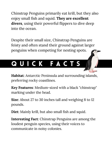 Penguin Study Unit Printable | Animal Science Activities for Kids