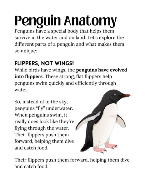 Penguin Study Unit Printable | Animal Science Activities for Kids