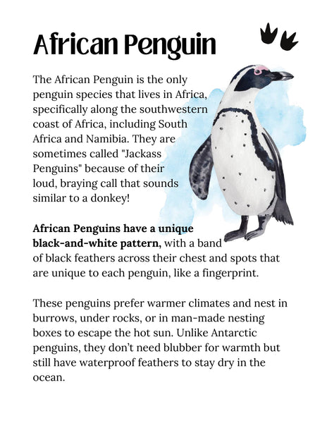 Penguin Study Unit Printable | Animal Science Activities for Kids