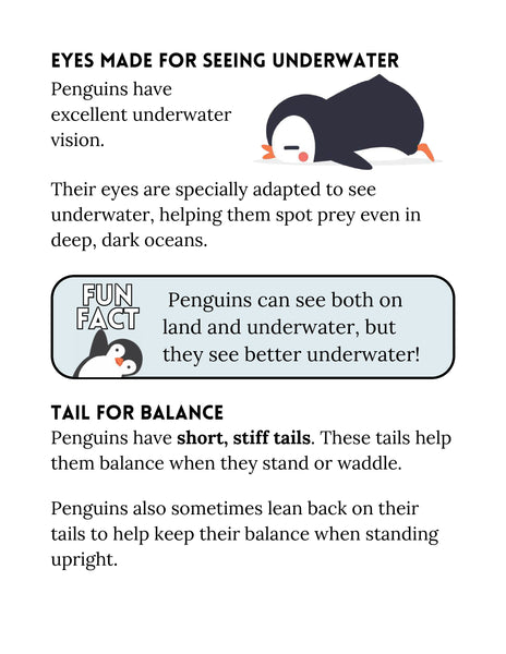 Penguin Study Unit Printable | Animal Science Activities for Kids