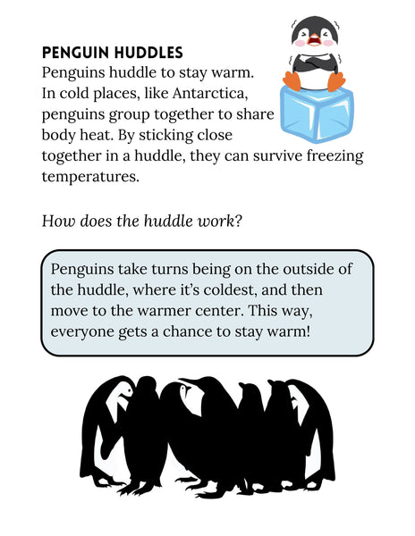 Penguin Study Unit Printable | Animal Science Activities for Kids