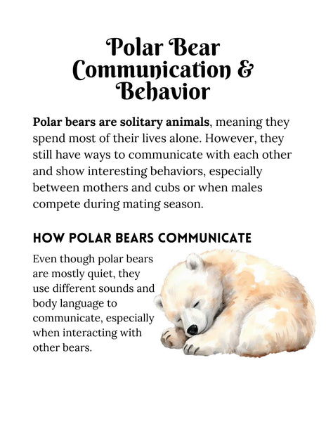 Polar Bear Activities Arctic Science Unit Study for Kids