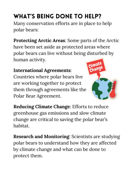 Polar Bear Activities Arctic Science Unit Study for Kids