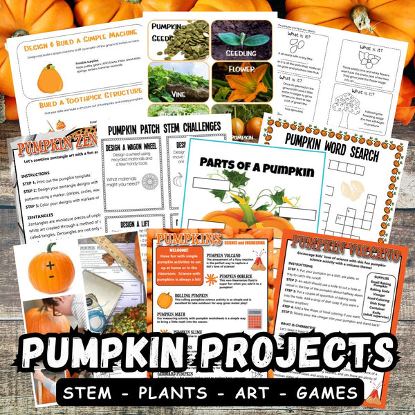 Fall Pumpkin STEM Pack