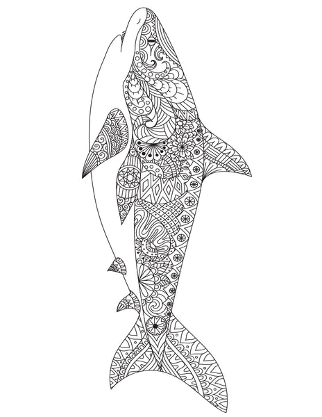 Shark Week Activities Pack | Printable Science, STEM & Ocean Unit