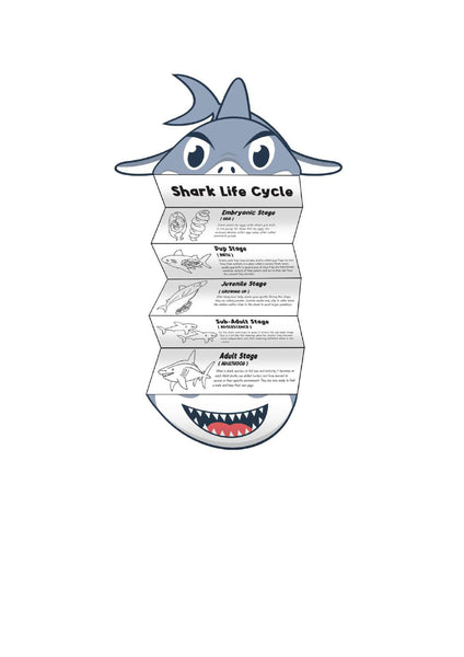 Shark Week Activities Pack | Printable Science, STEM & Ocean Unit