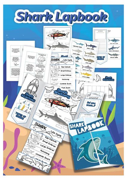 Shark Week Activities Pack | Printable Science, STEM & Ocean Unit