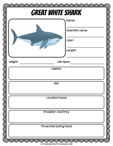 Shark Week Activities Pack | Printable Science, STEM & Ocean Unit