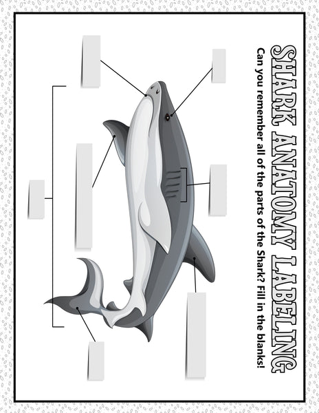 Shark Week Activities Pack | Printable Science, STEM & Ocean Unit