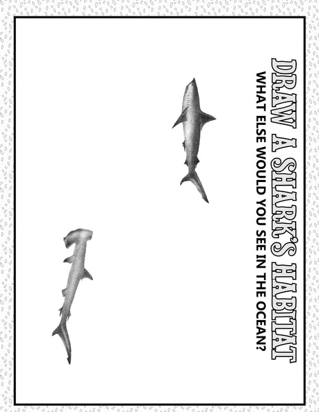 Shark Week Activities Pack | Printable Science, STEM & Ocean Unit