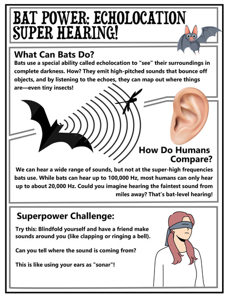 Sound Science Experiments for Kids – Hands-On Physics Unit (K–4 NGSS STEM Activities)