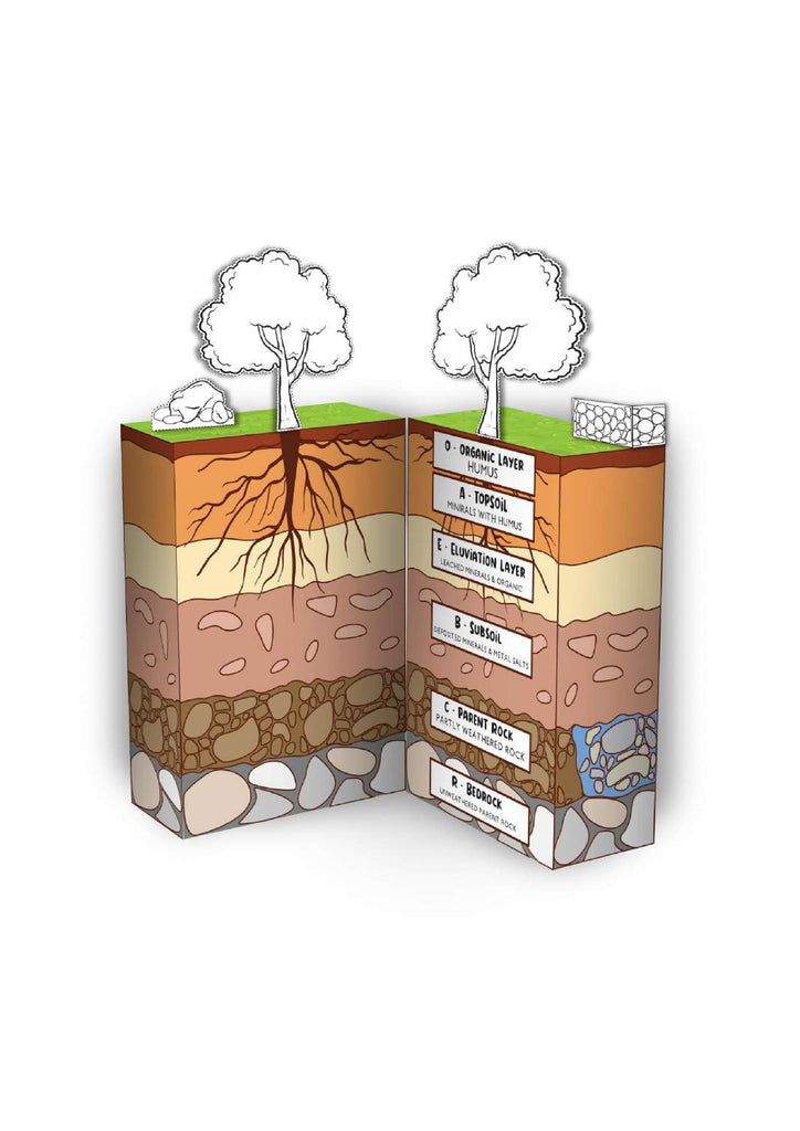Spring Steam Project Spring STEM Project Pack – Little Bins for Little Hands