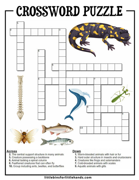 Animal Vertebrates and Invertebrates Activity Pack