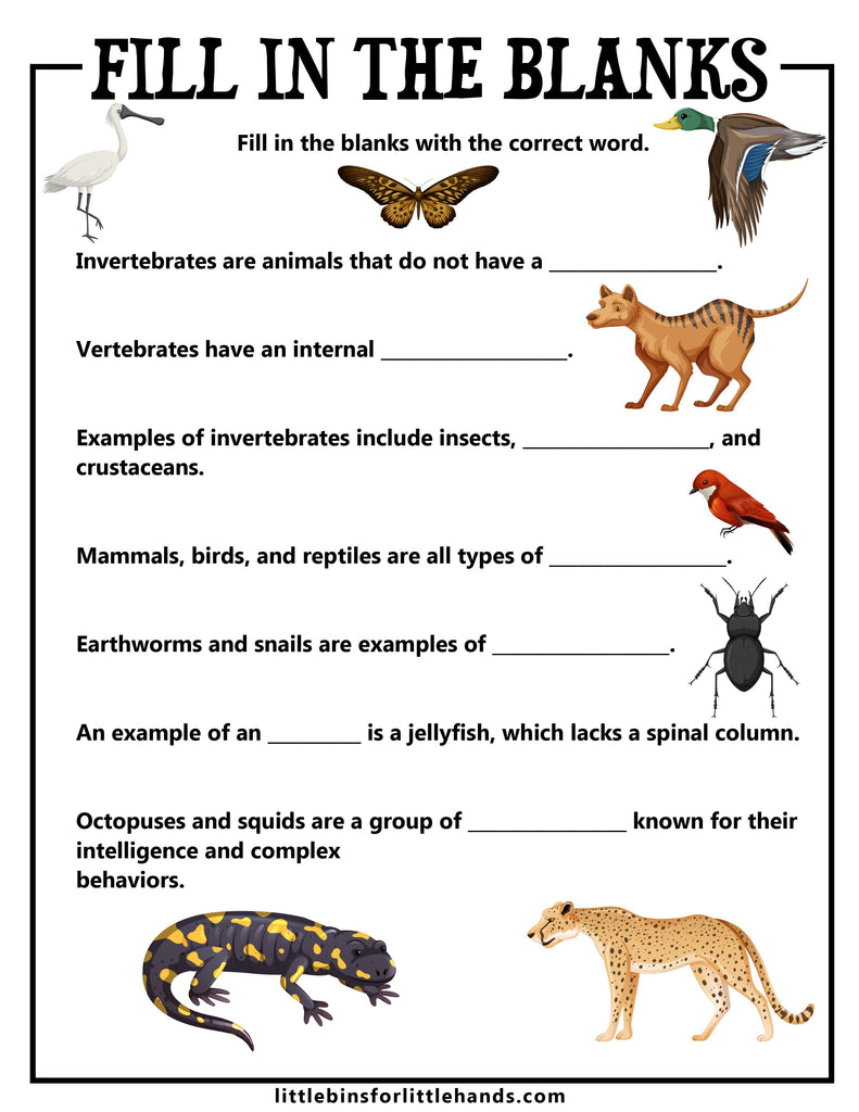 Animal Vertebrates and Invertebrates Activity Pack – Little Bins for ...