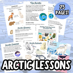 Winter Arctic Lesson Guide and Projects