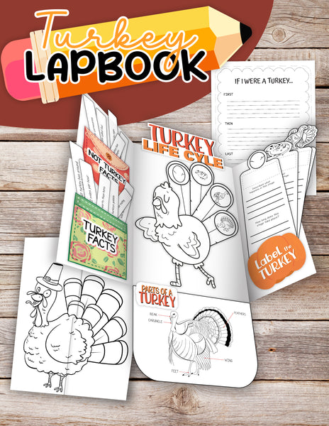 Lapbook Bundle