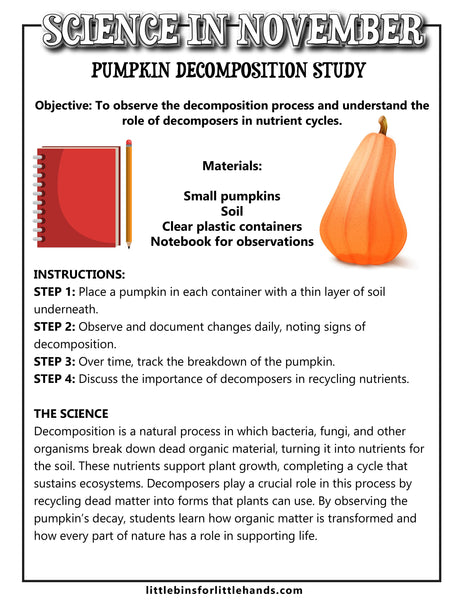 Ecology Activity Pack