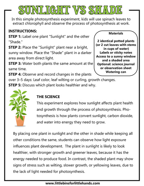 Ecology Activity Pack