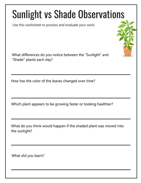 Ecology Activity Pack