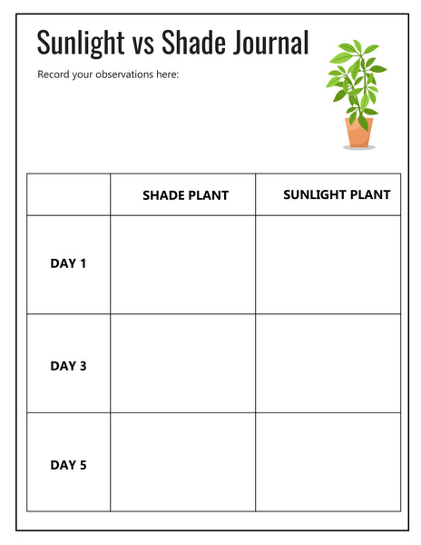 Ecology Activity Pack