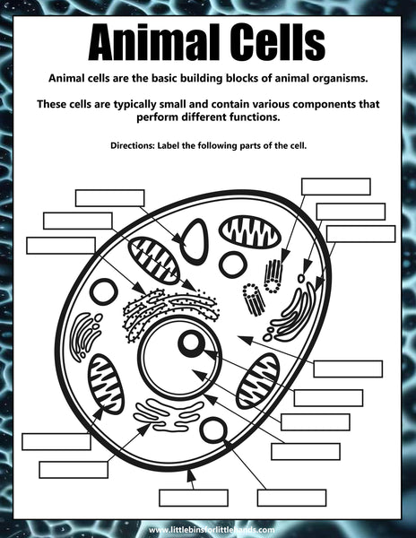 Animal and Plant Cells STEAM Activity Pack