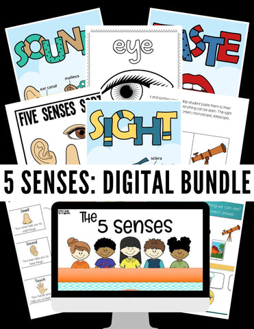 5 Senses Digital Activities Pack
