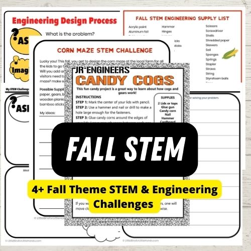Fall STEM Pack (non-pumpkin, non-apple)