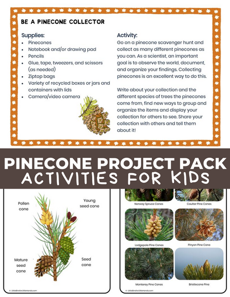 Fall Pinecone STEM Pack